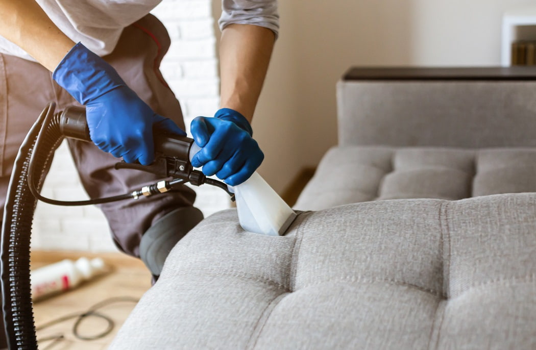Chair, Carpet and Sofa Shampooing